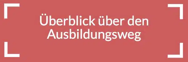 HP Button Überblick